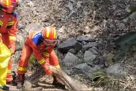 5米长！100斤！2条蟒蛇入侵村庄捕食30多只家禽，蟒蛇会伤人吗？图片