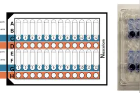 高通量细胞计数仪-Cellaca MX-Nexcelom-耐细隆图片