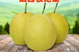 醋莪儿是什么东西？你见过吗？椰果又是怎么来的？图片