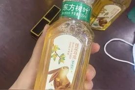 东方树叶这款茶怎么样？为什么在体制里面这么流行，人手一杯图片