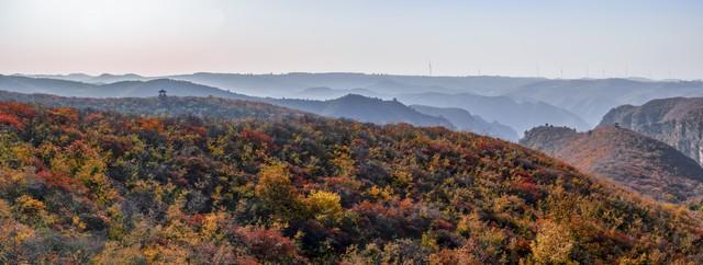 早晨、推窗感心