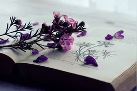 健康管理师证书有几种？哪种最权威？图片