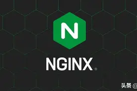 NginxWebUI - 图形化的 Nginx 配置管理工具图片
