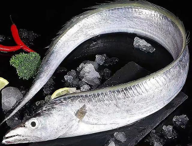 市场上遇到这4种鱼，千万别手软，都是野生鱼，价格便宜营养高