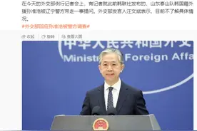 外交部回应韩国球员在中国被抓：目前不了解具体情况图片