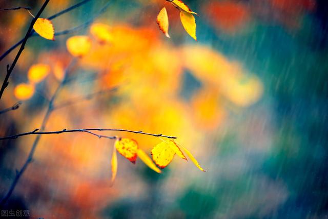 �ʺ�����״������Ȧ�������İ�