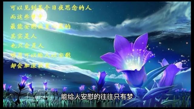 情感美文《爱与幻》