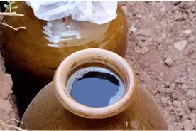 存酒别老想“封箱土埋”，3个藏酒误区建议弄清，当心好酒变废水图片