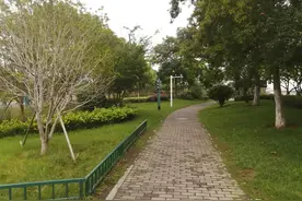 又是美好的一天图片
