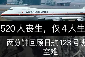 深度解析历史灾难，日航123空难图片