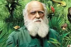 达尔文进化论图片