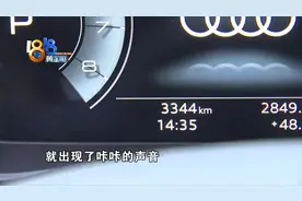 “奥迪”新车咔咔咔，网上找到“异响群”图片