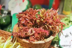 每个上海人至少吃掉10斤春菜！最受欢迎的不是香椿，是它们→图片