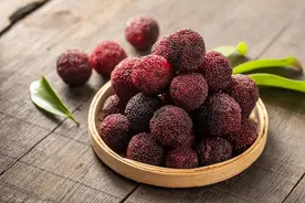 杨梅的药用价值图片