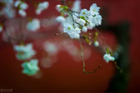 人到七十才看透，晚年亲情的回馈，比想象的更“残酷”图片