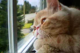 每日一句英语（附音频）| “for ages”不是“好几个年龄”的意思！图片