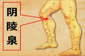阴陵泉—祛除“痰湿肥胖”的法宝图片