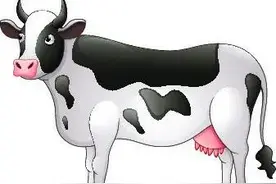 生肖牛知道自己患了不治之症，该怎么办？图片