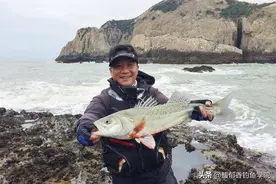 钓海鲈鱼的黄金季节到了，掌握这4个要点，钓海鲈鱼轻松爆箱图片