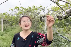 90后女大学生，毕业后跟男友回村当了农民，她后悔了吗？图片