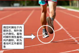 软弹vs硬弹？缓震vs支撑？选鞋关键看什么图片