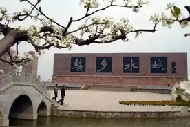 王亚飞新歌(10)《梨乡水城》图片
