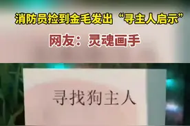 消防员捡到金毛发出“寻主人启示”，网友：灵魂画手图片