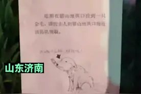 消防员捡到金毛发出“寻主人启示”，网友：灵魂画手图片