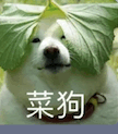 我的侠破解版游戏（满屏黑丝美腿曾经最火的搞机社区）