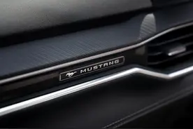 拉风的美式肌肉车，配无边框车门，起步456马力，还有手动挡图片