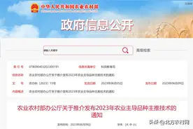 农业农村部：国家级主导玉米品种18个（2023年度）图片