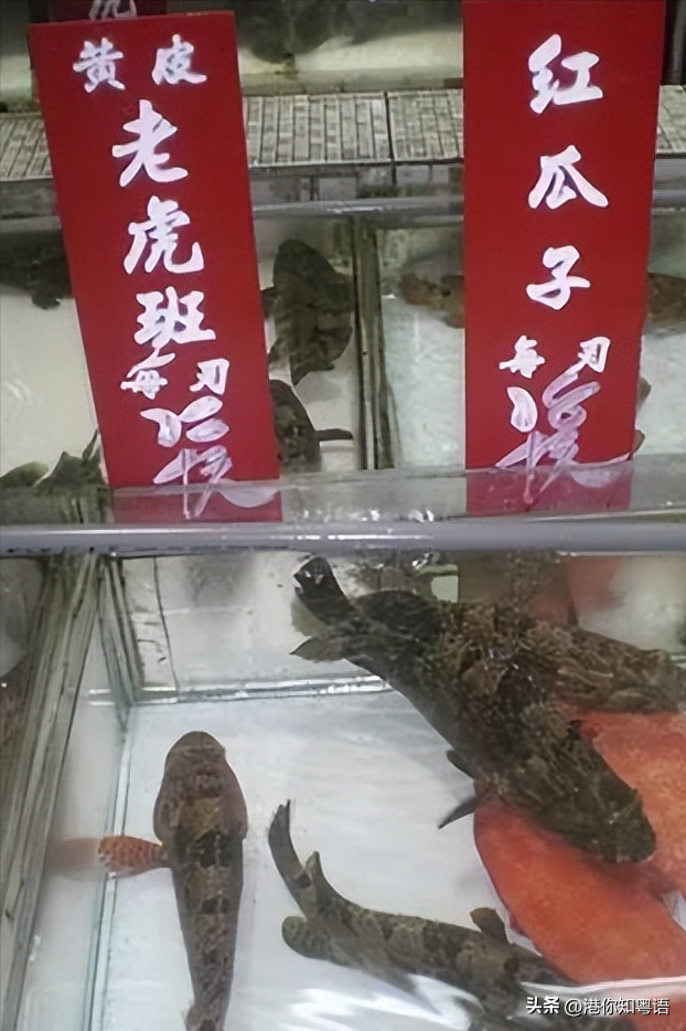 原来在香港我连数字都看不懂？