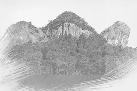 傻子去卖柴，半路遇老龟讨封，老者托梦：把斧头藏被窝图片