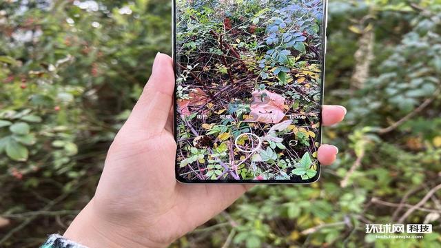 realme真我10 Pro+评测：2160Hz高频调光 一亿像素主摄加持