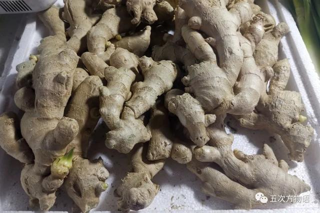 spice英文解释（12种姜科的辛香料）