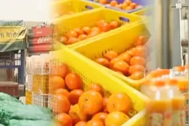 深山农品“鲜”到城，深企冷链帮大忙图片