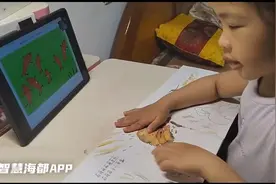 学习机成带娃神器？业内人士：不可过度依赖图片