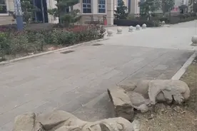 博物馆回应石狮被丢在门口：是文物，仓库放不下只能放外面，周围有监控图片