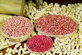 吃生花生和吃熟花生，有什么区别？不妨听听医生的回答图片