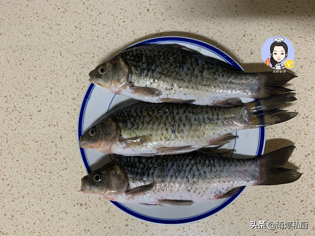 黔鱼是什么鱼（春夏交替这肉要多吃）