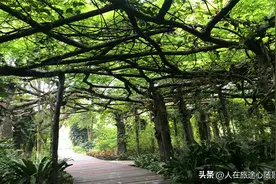 不负好春光，看看兴宁区这7个景点，美成啥样图片