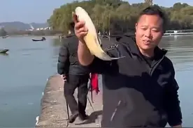 绍兴一酒厂起火黄酒流入湖泊，不少大鱼被“灌醉”，路人争相抓鱼图片