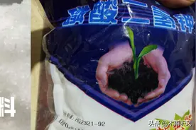 磷酸二氢钾与硼肥复配，适宜所有作物开花期用，应注意复配的方法图片