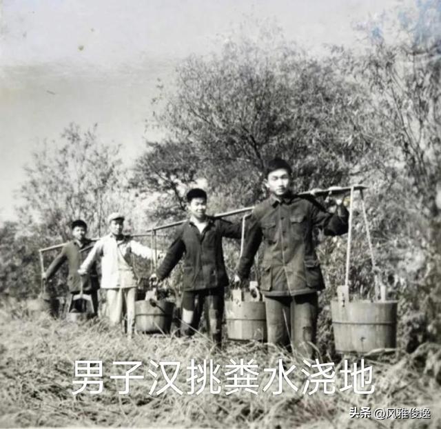 榆树湾之恋（近现代情感故事连载二十四篇）