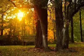 时光里的救赎！（105）图片