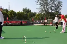 门球术语战术类别图片