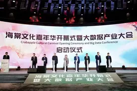 一起向未来！筑梦盐城，不负春光，第二届海棠文化嘉年华重磅来袭图片