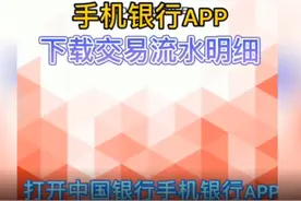 个人整理「中国银行」APP流水导出教程图片