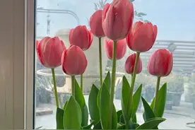 情感故事：妻子和老板一起出差，丈夫：不要再演戏了图片