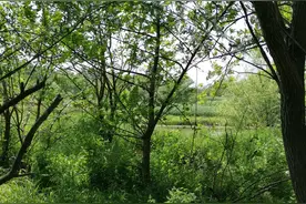 中国人口太多其实是一个伪命题！很多人从来就没有走出去看过图片